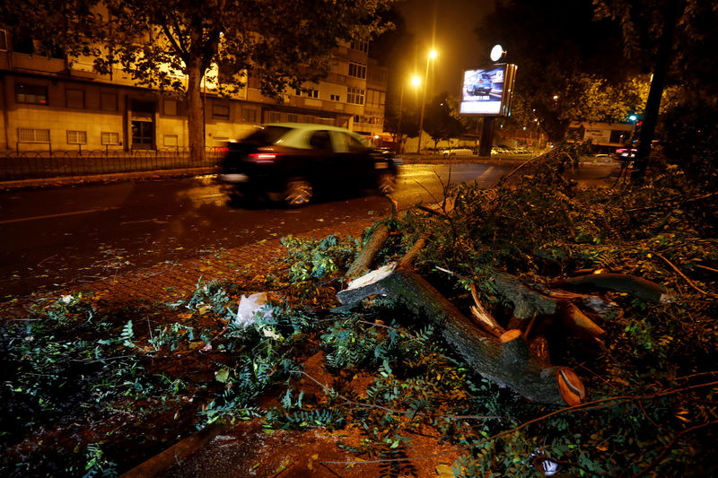 © Reuters. Ramas de árboles caídas en una calle del barrio de Benfica por el paso de la tormenta Leslie en Lisboa