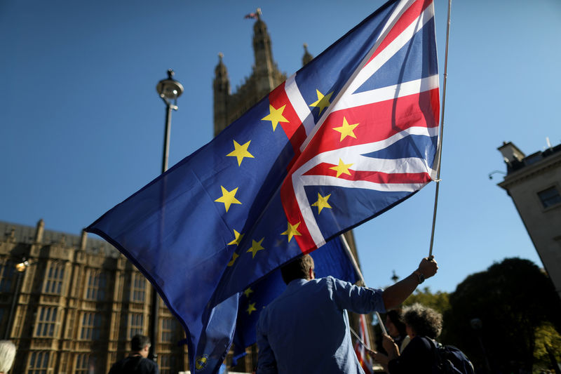 © Reuters. An anti-Brexit protester waves a flag opposite the Houses of Parliament in London