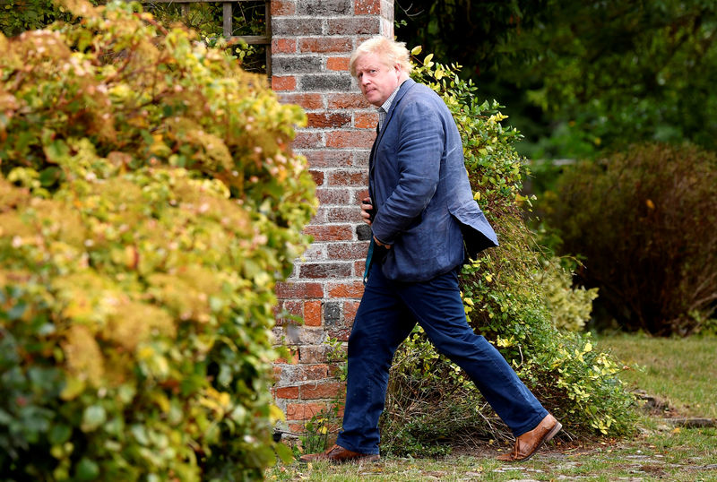 © Reuters. Conservative MP Boris Johnson walks through his garden at his home near Oxford