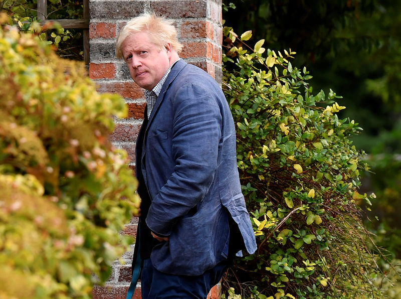 © Reuters. Conservative MP Boris Johnson walks through his garden at his home near Oxford