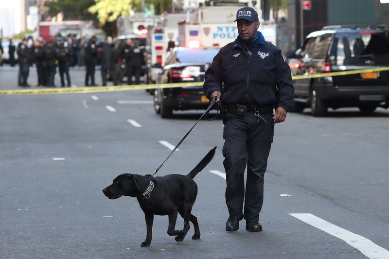 © Reuters. Policial conduz cão farejador em Nova York