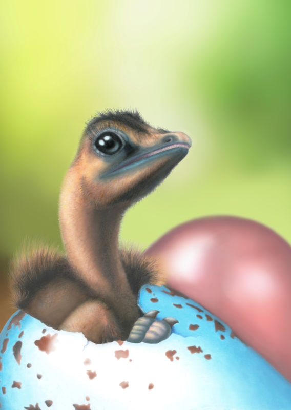 © Reuters. دراسة: بعض الديناصورات وضعت بيضا ملونا ومرقطا