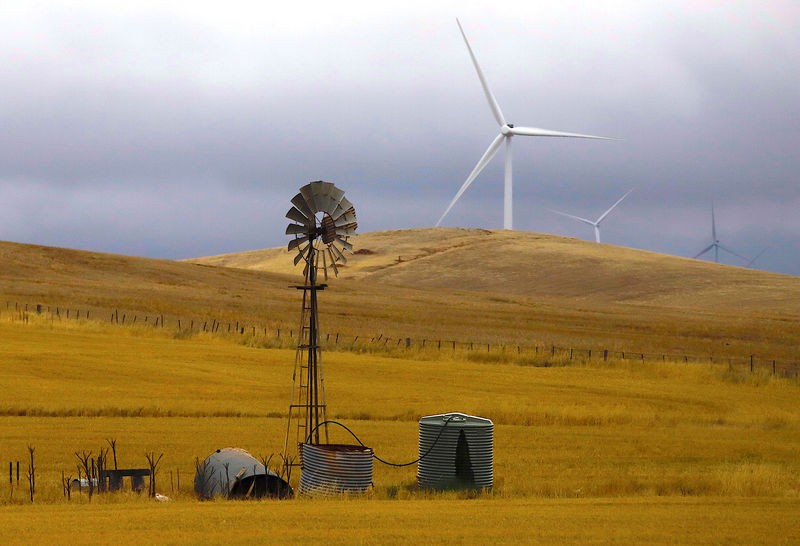 © Reuters. FILE PHOTO: An old windmill stands in front of wind turbines in a paddock on the outskirts of the South Australian town of Jamestown