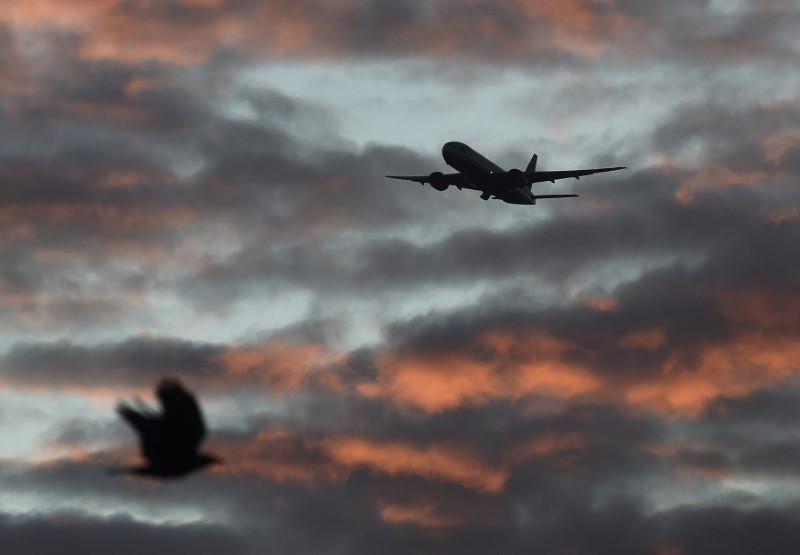 © Reuters. FILE PHOTO - A bird passes in the foreground as a passenger aircraft makes it's final landing approach towards Heathrow Airport at dawn in west London Britain
