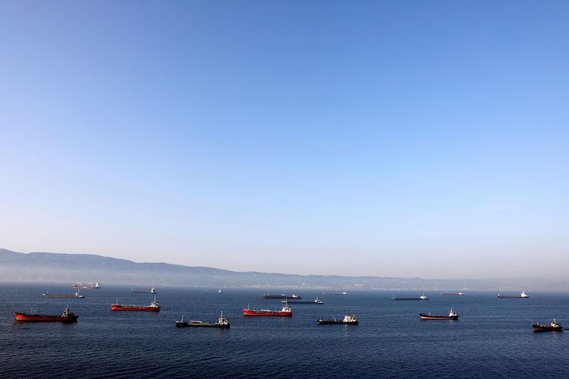 © Reuters. FILE PHOTO: FILE PHOTO: Oil tankers wait to dock at Tupras refinery near the northwestern Turkish city of Izmit