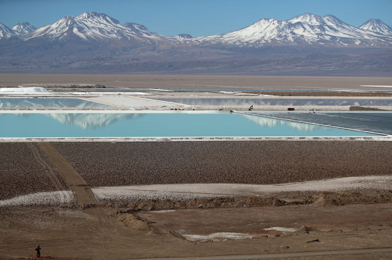 © Reuters. The Wider Image: Water fight raises questions over Chile lithium mining