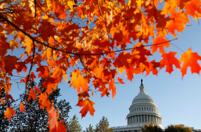 © Reuters. U.S. Capitol seen through autumn leaves  in Washington