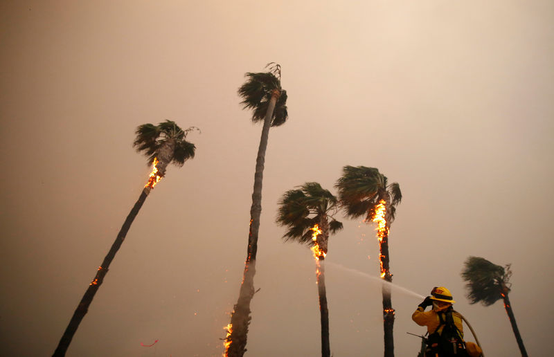 © Reuters. Un bombero rocía palmeras en Malibú en medio del incendio Woolsey.