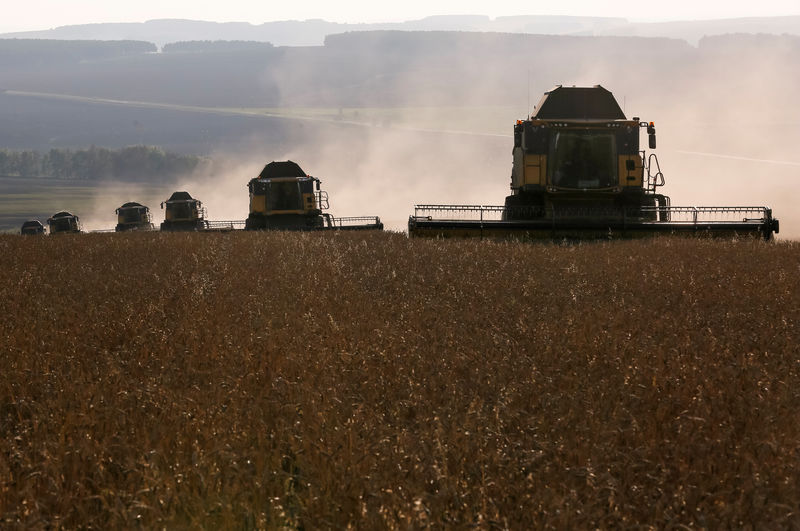 © Reuters. Комбайны убирают урожай пшеницы вблизи поселка Тальники Красноярского края