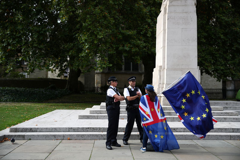 © Reuters. An anti-Brexit demonstrator chats to police officers outside the Houses of Parliament, in London