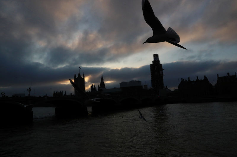 © Reuters. Gulls fly over the River Thames next to the Houses of Parliament, in London