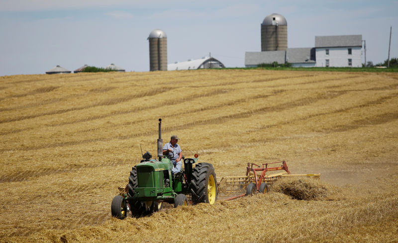© Reuters. FILE PHOTO - A farmer harvests his field at his farm in Pecatonica