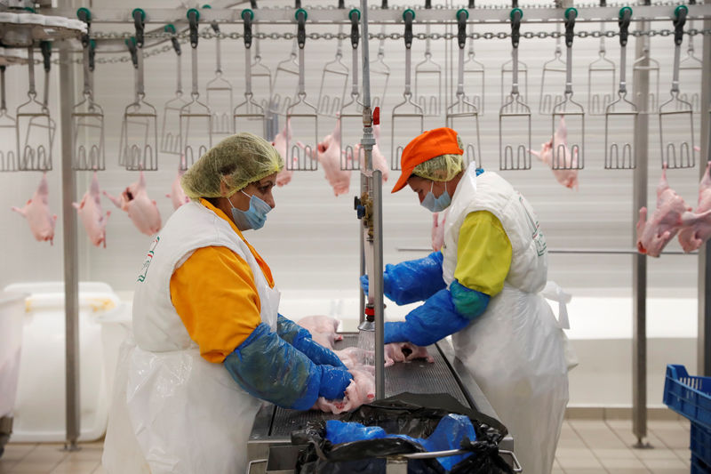 © Reuters. Workers wash duck meat in a poultry processing plant in Nyirgelse