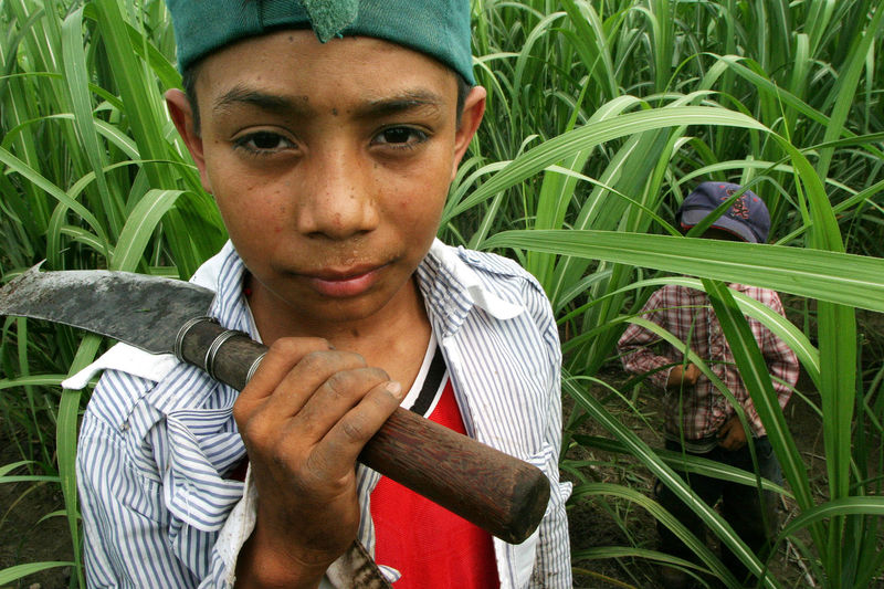 © Reuters. Joel Rivera, de 12 anos, trabalha em plantação de cana de açúcar em San Salvador, El Salvador