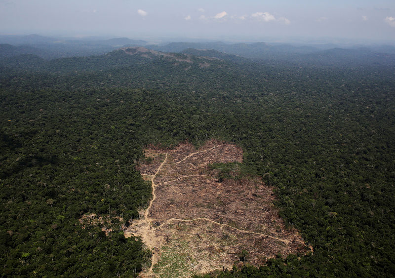 © Reuters. Foto de archivo de un sector del Amazonas deforestado cerca de Novo Progresso