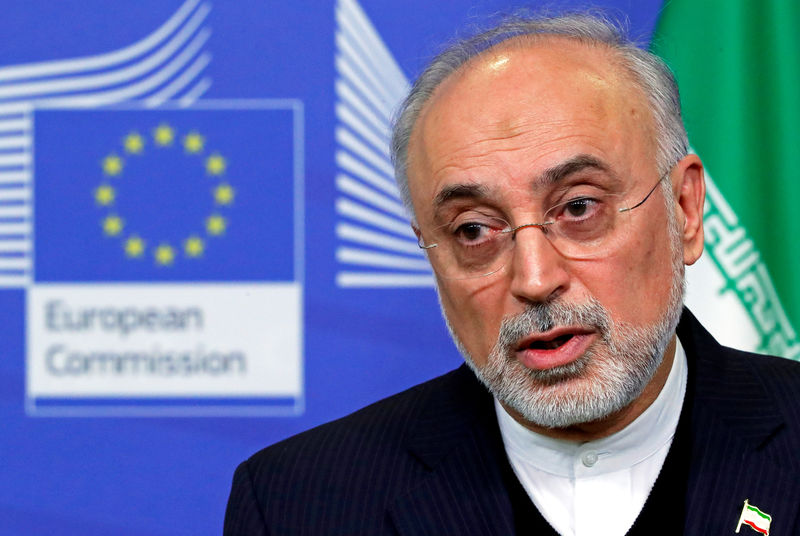 © Reuters. Iran's nuclear chief Ali Akbar Salehi attends a joint news conference with EU Energy Commissioner Miguel Arias Canete at the EC headquarters in Brussels