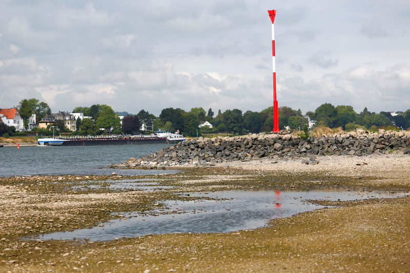 © Reuters. A marker pole stands atop of a usually flooded spur dike located next to the partially dried out river bed of the Rhine in Rhoendorf near Bonn