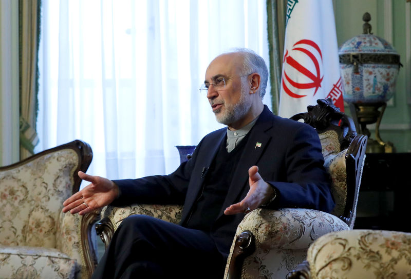 © Reuters. Iran's nuclear chief Ali Akbar Salehi speaks to Reuters during an interview in Brussels