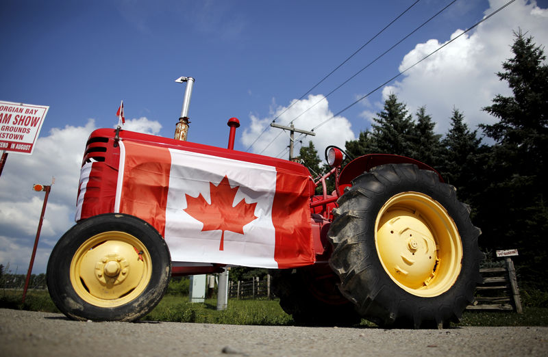 © Reuters. FILE PHOTO: Old tractor sporting a Canadian national flag is seen parked in the rural township of Oro-Medonte, Ontario