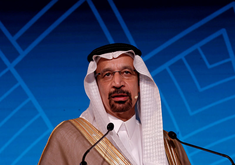 © Reuters. FILE PHOTO: Saudi Energy Minister Khalid al-Falih addresses  India Energy Forum in New Delh