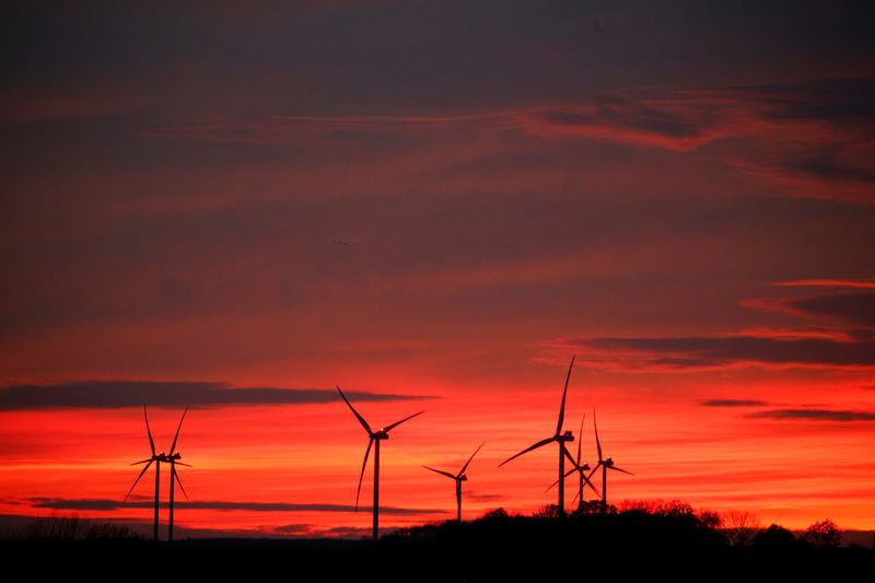 © Reuters. Turbinas de vento em parque eólico