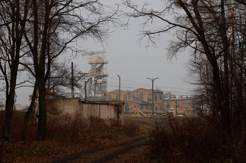 © Reuters. The Wider Image: Farewell to coal: a Polish city wakes up and smells the blossom