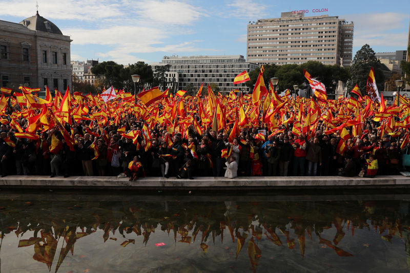 © Reuters. آلاف يتظاهرون في مدريد تأييدا لوحدة إسبانيا