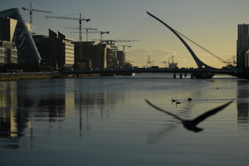 © Reuters. FILE PHOTO: Swans swim in the river Liffey in the financial district of Dublin, Ireland