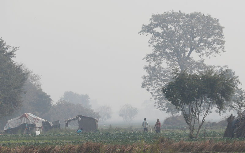 © Reuters. Agricultores trabajan en un campo en una tarde llena de polución en las orillas del río Yamuna en Nueva Delhi