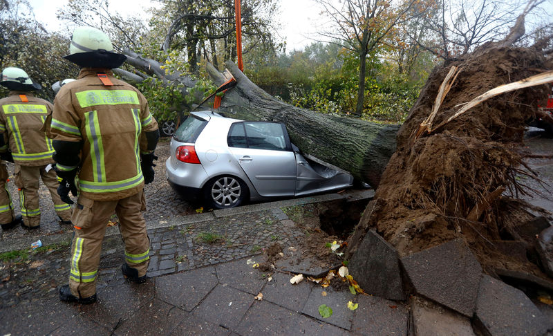 © Reuters. Firefighters are pictured next to a car damaged by a tree during stormy weather caused by storm called "Herwart" in Berlin