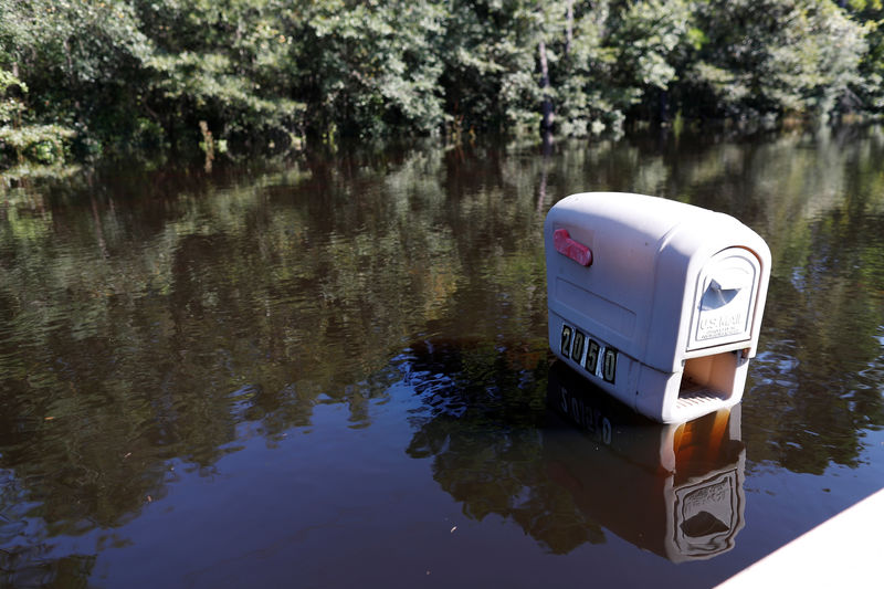© Reuters. A mailbox is partially submerged by flood waters in the aftermath of Hurricane Florence now downgraded to a tropical depression in Conway