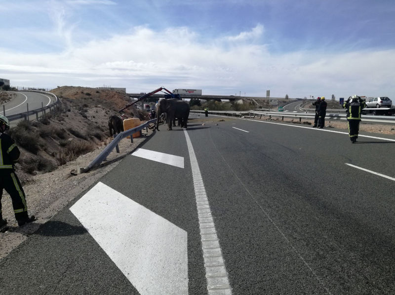 © Reuters. Las muertes por accidentes de tráfico en España bajan en 2018