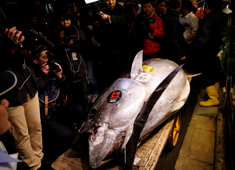 © Reuters. بيع سمكة تونة بأكثر من 3 ملايين دولار في مزاد بطوكيو