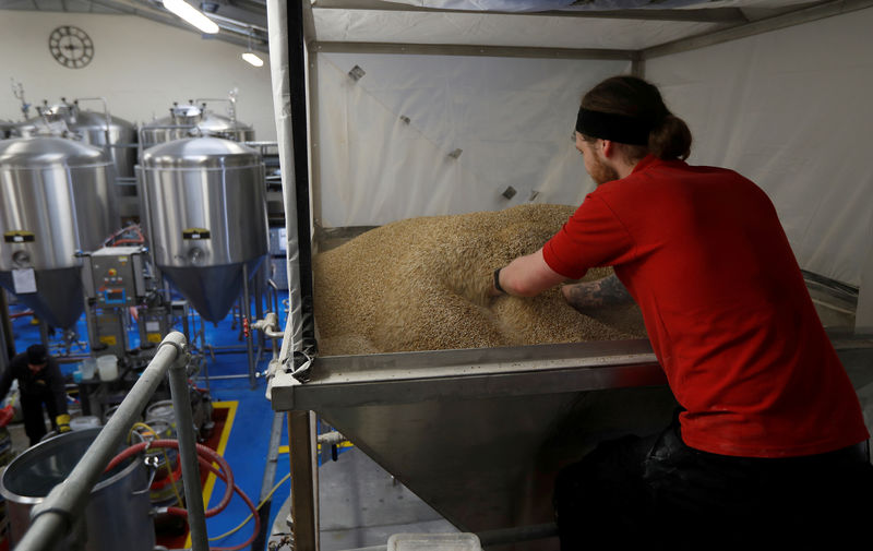 © Reuters. FILE PHOTO: A worker prepares barley malt at the start of the brewing process of Harry and Meghan's Windsor Knot pale ale at the Windsor and Eton brewery in Windsor