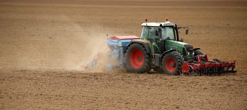 © Reuters. A French farmer sows wheat in Aubigny-au-Bac as extreme drought hits France