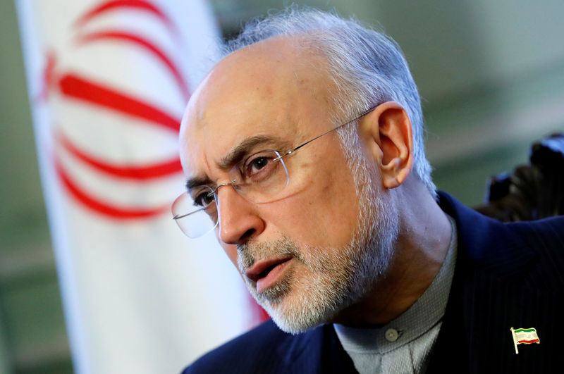 © Reuters. Foto de archivo. El máximo responsable nuclear iraní Ali Akbar Salehi habla con Reuters durante una entrevista en Bruselas