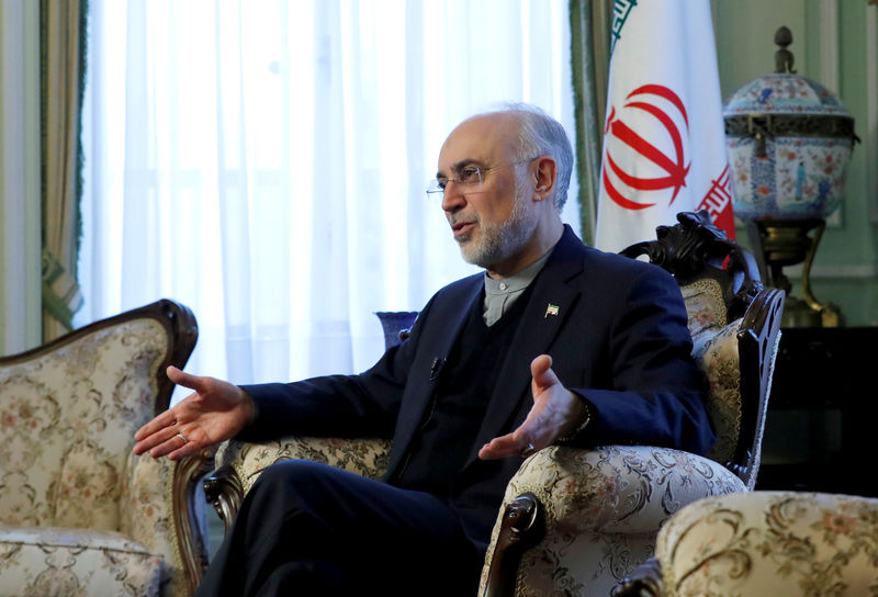 © Reuters. إيران تقول إنها تتخذ خطوات أولية لإنتاج وقود مفاعلات نووية