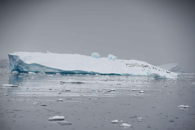 © Reuters. Un iceberg en la bahía Andvord en la Antártida. Imagen de archivo
