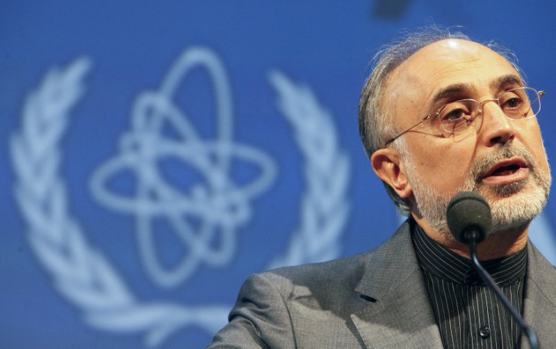 © Reuters. صالحي: إيران يمكنها تخصيب اليورانيوم حتى 20% خلال 4 أيام