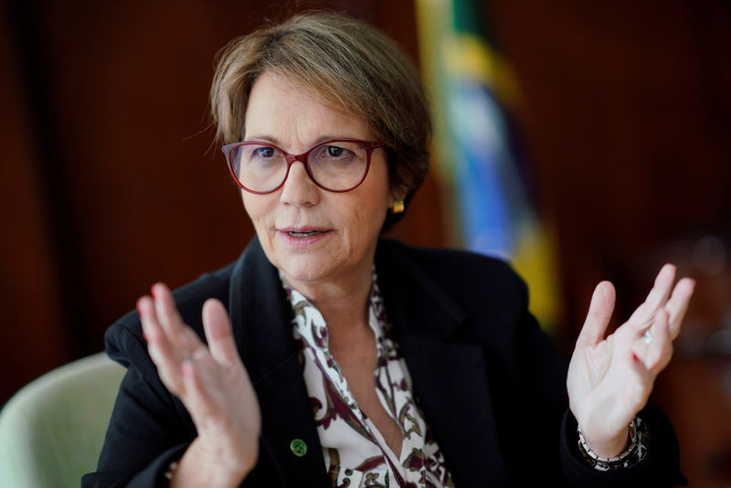© Reuters. وزيرة الزراعة البرازيلية قلقة بشأن نقل سفارة بلدها في إسرائيل إلى القدس