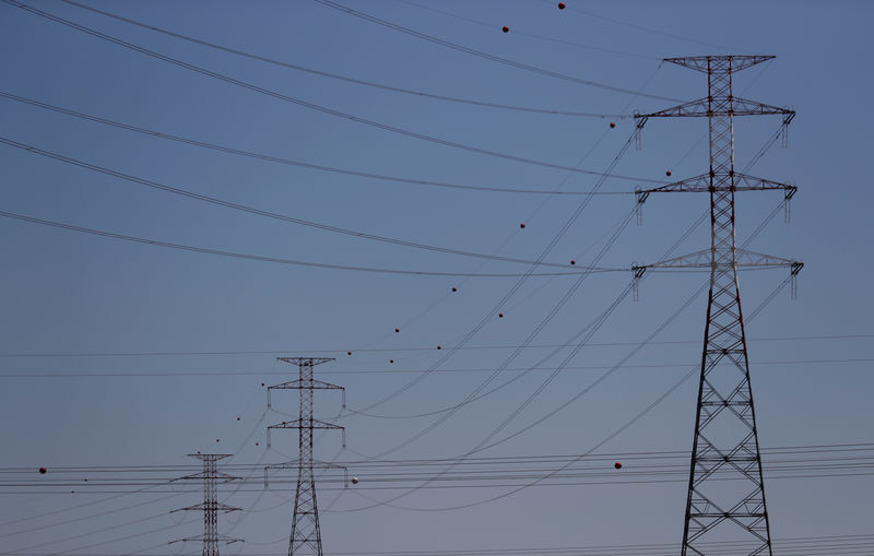 © Reuters. Electric power cables are seen near an Energias de Portugal (EDP) power plant on the outskirts of Carregado