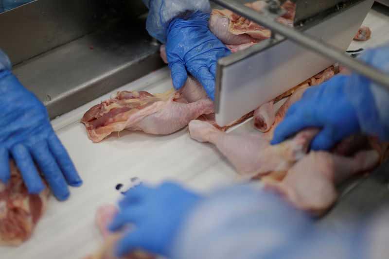 © Reuters. Funcionário trabalha em frigorífico em Lapas, no Paraná