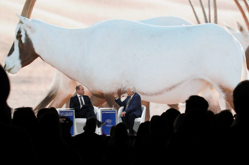 © Reuters. Foto del martes del príncipe Guillermo de Inglaterra entrevistando en el Foro Económico Mundial de Davos al naturalista y presentador de televisión David Attenborough