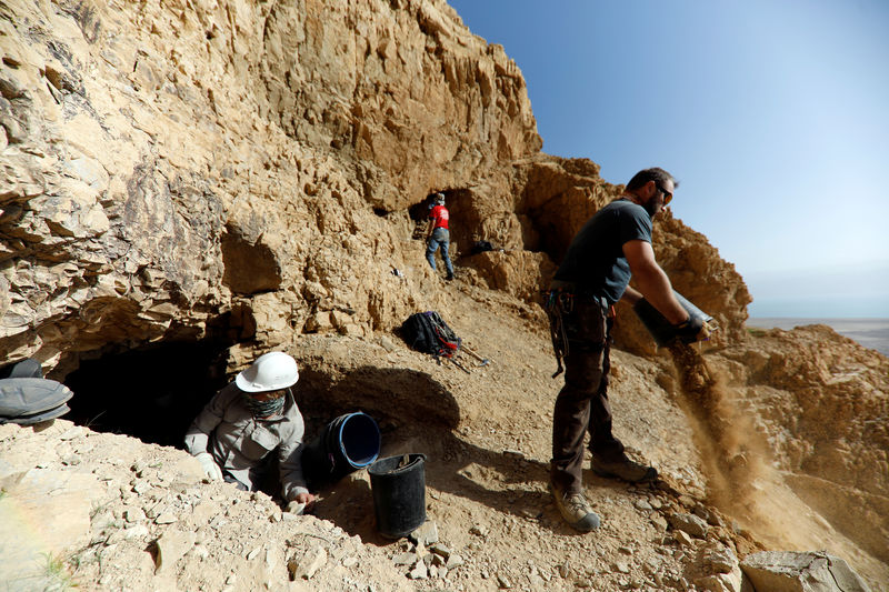 © Reuters. جيل جديد يتولى البحث عن مخطوطات البحر الميت