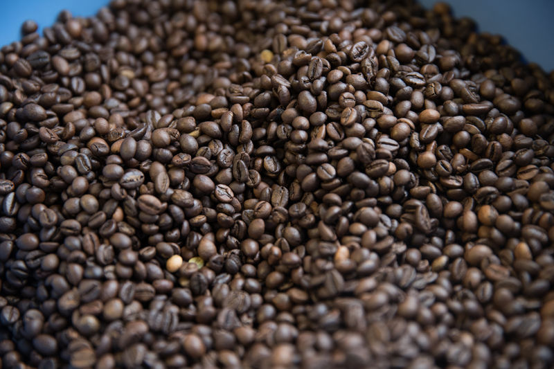 © Reuters. Imagen de archivo de granos de café