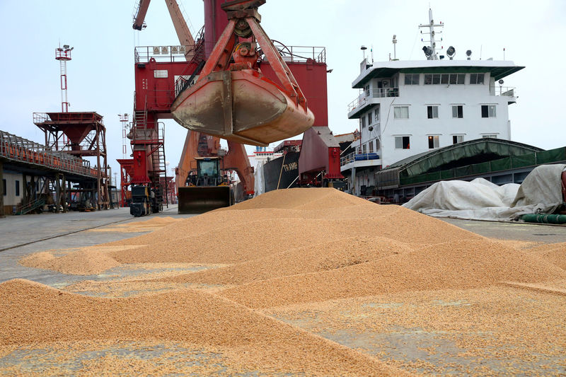 © Reuters. FILE PHOTO - Imported soybeans are transported from a cargo ship at a port in Nantong, Jiangsu