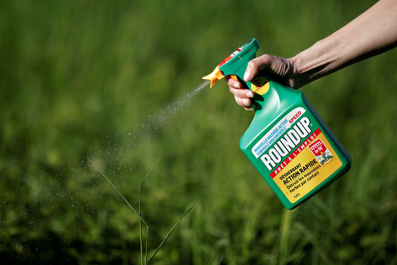 © Reuters. FILE PHOTO: A woman uses a Monsanto's Roundup weedkiller spray without glyphosate in a garden in Ercuis near Paris