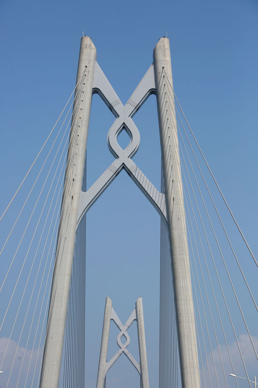 © Reuters. FILE PHOTO: Steel cables are used at a section of the Hong Kong-Zhuhai-Macau bridge in Zhuhai