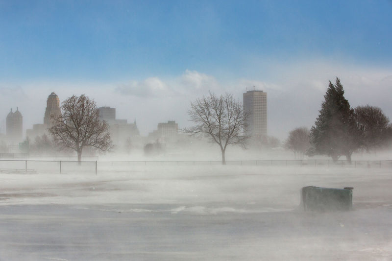 © Reuters. The city skyline is seen in drifting snow during the polar vortex in Buffalo