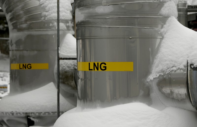 © Reuters. FILE PHOTO: Snow-covered transfer lines are seen at the Dominion Cove Point liquefied natural gas terminal in Maryland